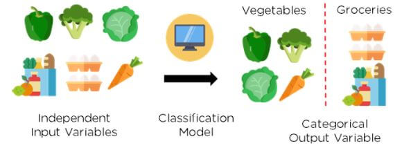 Support Vector Machine in Machine Learning