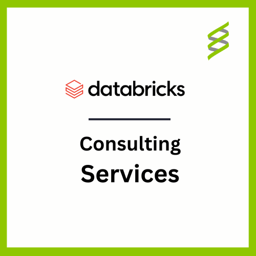 Databricks consulting Services