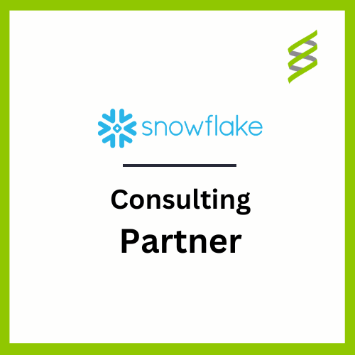 Snowflake Consulting Partner